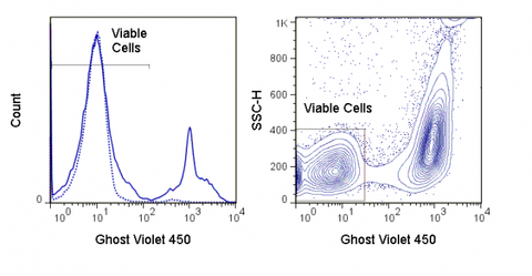 LEFT: Mouse thymocytes were incubated overnight at 4°C (dashed) or 37°C (solid) and stained with Ghost Dye™ Violet 450.  RIGHT:  Mouse splenocytes were stimulated overnight with PMA and stained with Ghost Violet 450. Viable gate is indicated.