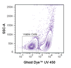 Mouse splenocytes were stimulated overnight with PMA and ionomycin and stained with Ghost UV 450. Viable gate is indicated.