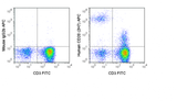 Human peripheral blood lymphocytes were stained with FITC Anti-Human CD3 (35-0037) and 5 uL (0.03 ug) APC Anti-Human CD20 (20-0209) (right panel) or 0.03 ug APC Mouse IgG2b isotype control (left panel).