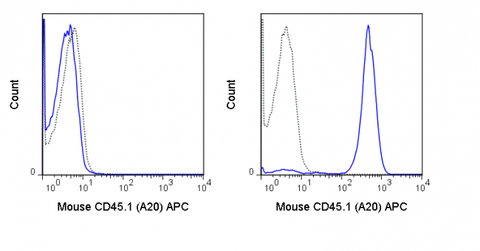 C57Bl/6 (left panel) or SJL (right panel) splenocytes were stained with 0.5 ug APC Anti-Mouse CD45.1 (20-0453) (solid line) or 0.5 ug APC Mouse IgG2a isotype control (dashed line).