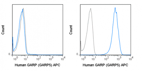 Untransfected (left) or GARP transfected (right) cells were stained with 5 uL (0.5 ug) APC Anti-Human GARP (20-9882) (solid line) or 0.5 ug APC Mouse IgG1 isotype control (dashed line).