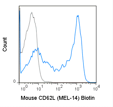 C57Bl/6 splenocytes were stained with 0.125 ug Biotin Anti-Mouse CD62L (30-0621) (solid line) or 0.125 ug Biotin Rat IgG2a isotype control (dashed line), followed by Streptavidin PE.