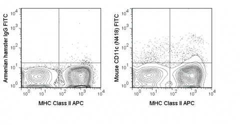 C57Bl/6 splenocytes were stained with APC Anti-Mouse MHC Class II (20-5321) and 0.25 ug FITC Anti-Mouse CD11c  (35-0114) (right panel) or 0.25 ug FITC Armenian Hamster IgG (left panel).