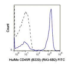 C57Bl/6 splenocytes were stained with 0.25 ug Anti-Hu/Mo CD45R (B220) FITC (35-0452) (solid line) or 0.25 ug Rat IgG2a FITC isotype control (dashed line).
