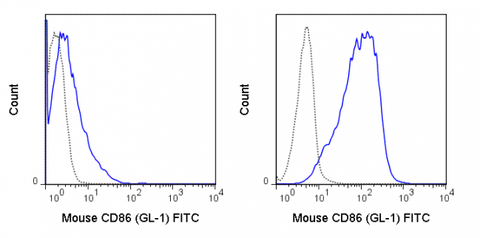 C57Bl/6 splenocytes were unstimulated (left panel) or stimulated for 3 days with LPS (right panel) and stained with 0.125 ug FITC Anti-Mouse CD86 (35-0862) (solid line) or 0.125 ug FITC Rat IgG2a isotype control (dashed line).