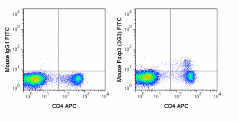 C57Bl/6 splenocytes were stained with APC Anti-Mouse CD4 (20-0041), followed by intracellular staining with 0.015 ug FITC Anti-Mouse Foxp3 (35-5773) (right panel) or 0.015 ug FITC Mouse IgG1 isotype control (left panel).