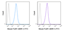 FITC Anti-Mouse Fc epsilon Receptor I alpha (FceR1) (MAR-1)
