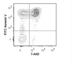 Mouse thymocytes were incubated overnight at 37°C in medium containing 1 uM dexamethasone. Cells were harvested and stained with FITC Annexin V (35-6409) and 7-AAD Staining Solution (13-6993).