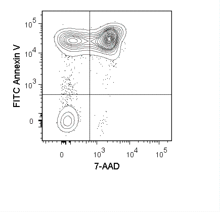 Mouse thymocytes were incubated overnight at 37°C in medium containing 1 uM dexamethasone. Cells were harvested and stained with FITC Annexin V (35-6409) and 7-AAD Staining Solution (13-6993).