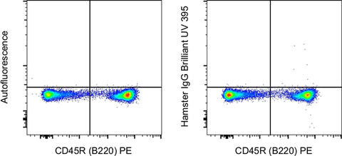 Armenian Hamster IgG Isotype Control (eBio299Arm), Brilliant Ultra Violet™ 395, eBioscience™