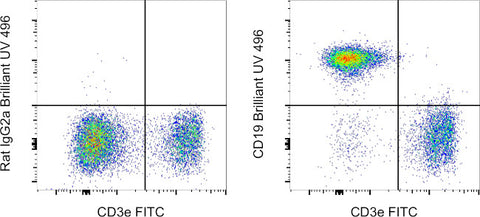 CD19 Monoclonal Antibody (eBio1D3 (1D3)), Brilliant Ultra Violet™ 496, eBioscience™