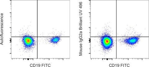 Mouse IgG2a kappa Isotype Control (eBM2a), Brilliant Ultra Violet™ 496, eBioscience™