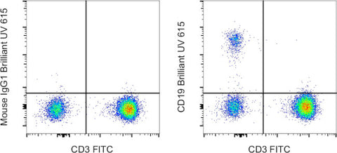 CD19 Monoclonal Antibody (HIB19), Brilliant Ultra Violet™ 615, eBioscience™