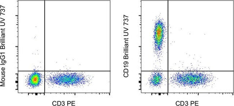 CD19 Monoclonal Antibody (SJ25C1), Brilliant Ultra Violet™ 737, eBioscience™