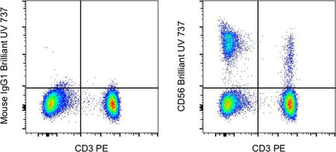CD56 (NCAM) Monoclonal Antibody (TULY56), Brilliant Ultra Violet™ 737, eBioscience™