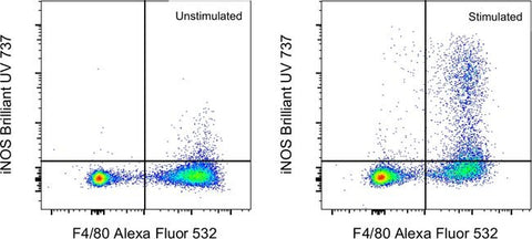 iNOS Monoclonal Antibody (CXNFT), Brilliant Ultra Violet™ 737, eBioscience™