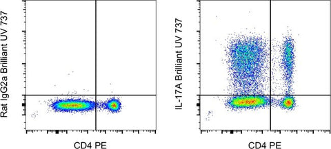 IL-17A Monoclonal Antibody (eBio17B7), Brilliant Ultra Violet™ 737, eBioscience™