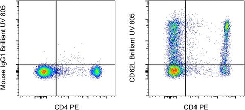 CD62L (L-Selectin) Monoclonal Antibody (DREG-56 (DREG56)), Brilliant Ultra Violet™ 805, eBioscience™