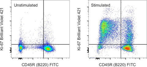 Ki-67 Monoclonal Antibody (SolA15), Brilliant Violet™ 421, eBioscience™