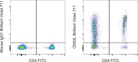 CD62L (L-Selectin) Monoclonal Antibody (DREG-56 (DREG56)), Brilliant Violet™ 711, eBioscience™