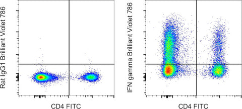 IFN gamma Monoclonal Antibody (XMG1.2), Brilliant Violet™ 786, eBioscience™