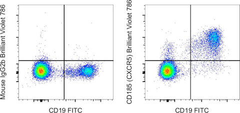 CD185 (CXCR5) Monoclonal Antibody (MU5UBEE), Brilliant Violet™ 786, eBioscience™