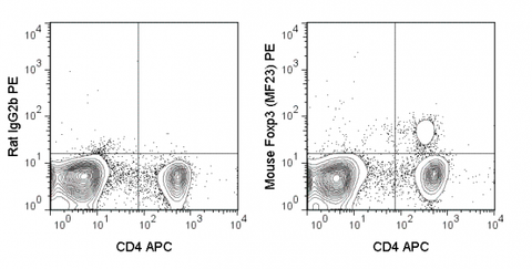 C57Bl/6 splenocytes were stained with APC Anti-Mouse CD4 (20-0042), followed by intracellular staining with 0.25 ug PE Anti-Mouse Foxp3 (50-0191) (right panel) or 0.25 ug PE Rat IgG2b isotype control (left panel).