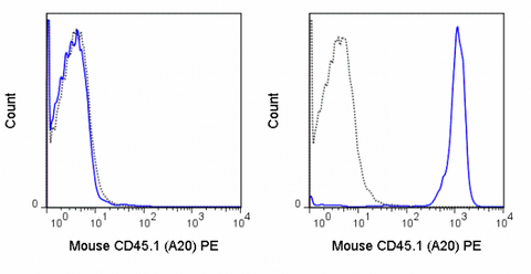 C57Bl/6 (left panel) or SJL (right panel) splenocytes were stained with 0.5 ug PE Anti-Mouse CD45.1 (50-0453) (solid line) or 0.5 ug PE Mouse IgG2a isotype control (dashed line).