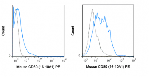 C57Bl/6 splenocytes were unstimulated (left panel) or stimulated for 3 days with LPS (right panel) and stained with 0.125 ug PE Anti-Mouse CD80 (50-0801) (solid line) or 0.125 ug PE Armenian Hamster isotype control (dashed line).