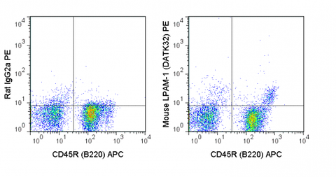 C57Bl/6 bone marrow cells were stained with APC Anti-Mouse CD45R (B220) (20-0452) and 0.5 ug PE Anti-Mouse LPAM-1 (50-5887) (right panel) or 0.5 ug PE Rat IgG2a isotype control (left panel).