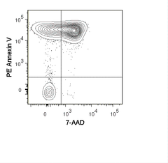 Mouse thymocytes were incubated overnight at 37°C in medium containing 1 uM dexamethasone. Cells were harvested and stained with PE Annexin V (50-6409) and 7-AAD Staining Solution (13-6993).