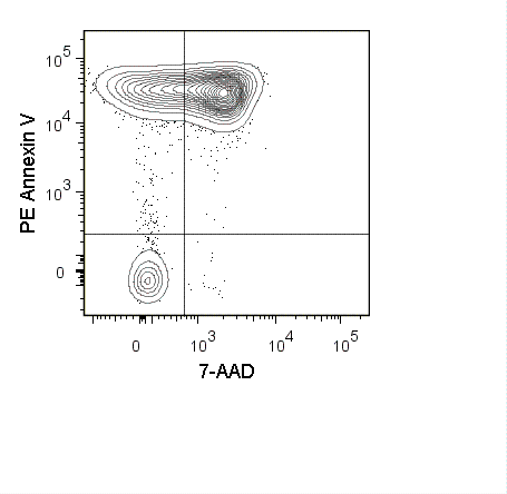 Mouse thymocytes were incubated overnight at 37°C in medium containing 1 uM dexamethasone. Cells were harvested and stained with PE Annexin V (50-6409) and 7-AAD Staining Solution (13-6993).