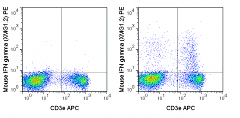 C57Bl/6 splenocytes were stimulated with PMA and Ionomycin (right panel) or unstimulated (left panel) and then stained with APC Anti-Mouse CD3e (20-0031), followed by intracellular staining with 0.125 ug PE Anti-Mouse IFN gamma (50-7311).