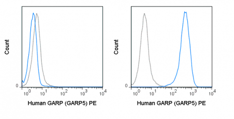 Untransfected (left) or GARP transfected (right) cells were stained with 5 uL (0.5 ug) PE Anti-Human GARP (50-9882) (solid line) or 0.5 ug PE Mouse IgG1 isotype control (dashed line).