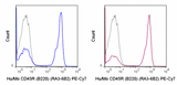 PE-Cyanine7 Anti-Human/Mouse CD45R (B220) (RA3-6B2)