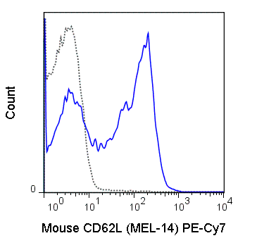 C57Bl/6 splenocytes were stained with 0.06 ug PE-Cy7 Anti-Mouse CD62L (60-0621) (solid line) or 0.06 ug Rat IgG2a APC isotype control (dashed line).