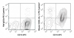 C57Bl/6 splenocytes were stimulated for 3 days with LPS and then stained with APC Anti-Mouse CD19 (20-0193) and 0.25 ug PE-Cyanine7 Anti-Mouse CD86 (60-0862) (right panel) or PE-Cyanine7  Rat IgG2a isotype control (left panel).