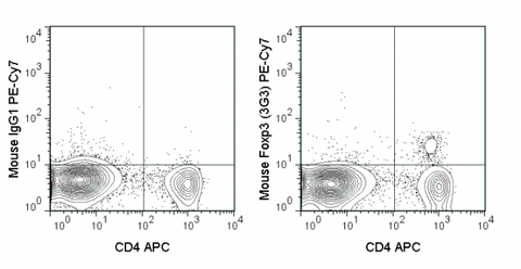 C57Bl/6 splenocytes were stained with APC Anti-Mouse CD4 (20-0042), followed by intracellular staining with 0.125 ug PE-Cy7 Anti-Mouse Foxp3 (60-5773) (right) or 0.125 ug PE-Cy7 Mouse IgG1 isotype control (left).
