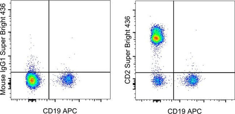 CD2 Monoclonal Antibody (RPA-2.10), Super Bright™ 436, eBioscience™