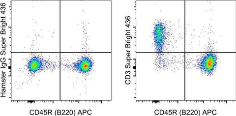 CD3e Monoclonal Antibody (145-2C11), Super Bright™ 436, eBioscience™