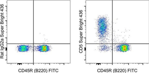 CD5 Monoclonal Antibody (53-7.3), Super Bright™ 436, eBioscience™
