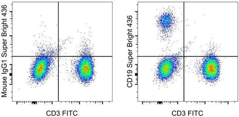 CD19 Monoclonal Antibody (SJ25C1), Super Bright™ 436, eBioscience™