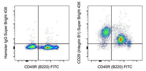 CD29 (Integrin beta 1) Monoclonal Antibody (eBioHMb1-1 (HMb1-1)), Super Bright™ 436, eBioscience™