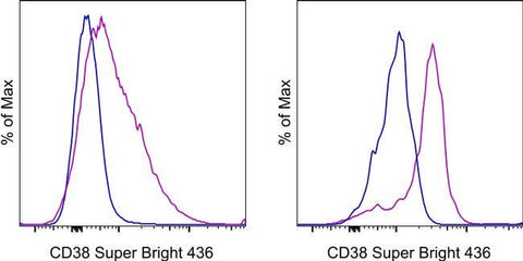 CD38 Monoclonal Antibody (HIT2), Super Bright™ 436, eBioscience™