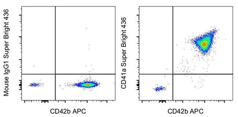 CD41a Monoclonal Antibody (HIP8), Super Bright™ 436, eBioscience™