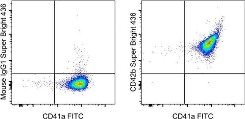 CD42b Monoclonal Antibody (HIP1), Super Bright™ 436, eBioscience™