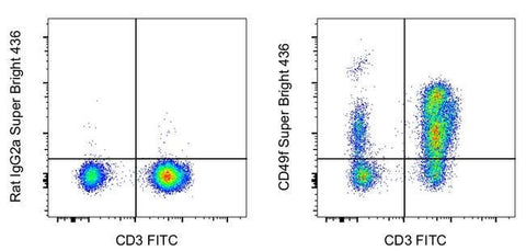CD49f (Integrin alpha 6) Monoclonal Antibody (eBioGoH3 (GoH3)), Super Bright™ 436, eBioscience™
