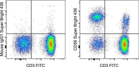 CD56 (NCAM) Monoclonal Antibody (TULY56), Super Bright™ 436, eBioscience™