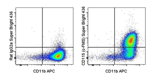 CD115 (c-fms) Monoclonal Antibody (AFS98), Super Bright™ 436, eBioscience™