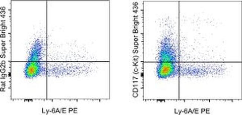 CD117 (c-Kit) Monoclonal Antibody (2B8), Super Bright™ 436, eBioscience™